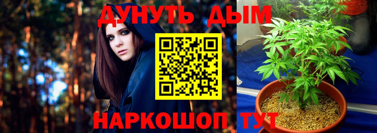 Шишки марихуана Amnesia Гусев